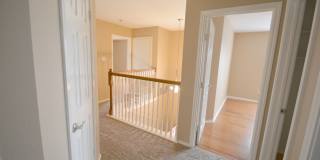 15310 Spring Land Gallery 12