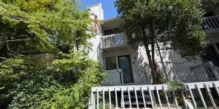 31 HARWOOD Lane Gallery 1