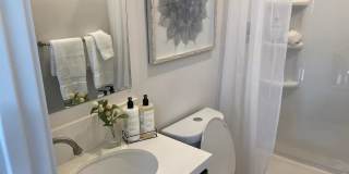 Upgraded 1 Bed/1 Bath Gallery 4