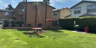 University Palms Gallery 21