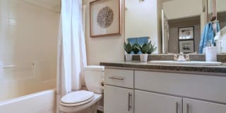 Reflections at Gila Springs Gallery 37