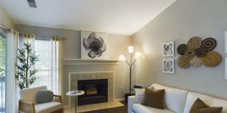 Lakeshore Apartments Gallery 43