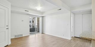 Carrington Square Gallery 49