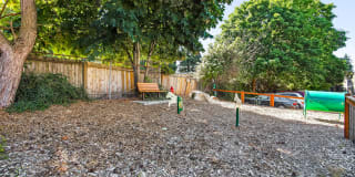 Irwin Park Gallery 13