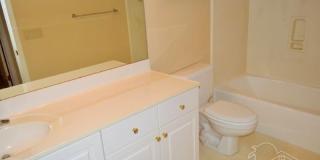 4078 Oak Pointe Dr Gallery 12
