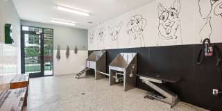 Muse at Midtown Muse at Midtown Gallery 47