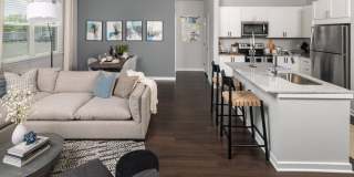 Prose Avalon Pointe Gallery 3