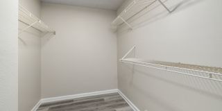 Madison at Adams Farm Gallery 15