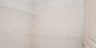 RIZE at Winter Springs Gallery 133