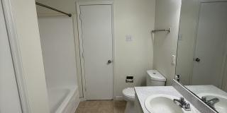 Marsh Cove & Somerset Gallery 17