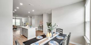 RISE Sereno Gallery 60