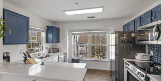 164 KENDRICK PL #164-36 Gallery 11