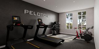 The Goodrich Gallery 52