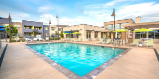 Olympus at Daybreak Gallery 23