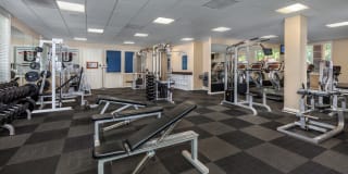 Homecoming At Eastvale Gallery 17