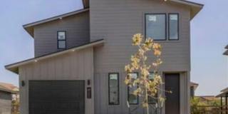 3006 Alpha Wolf Court Gallery 1