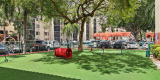 Fontainebleau Milton Gallery 14