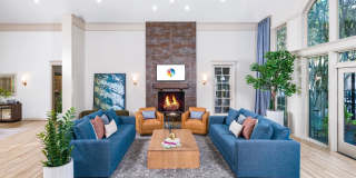 Alister Sunset Valley Gallery 21