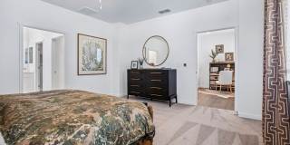 Echo Paired Homes Gallery 51