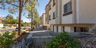 Jackson 23 Apartments Gallery 5