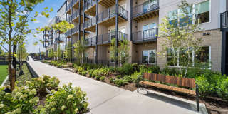 The Galaxy at Polaris Gallery 41