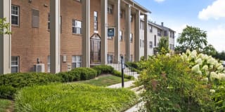 Stevens Walk Gallery 1