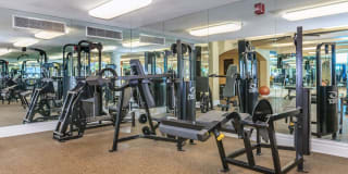 The Piero Gallery 94