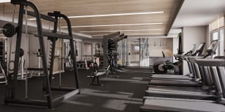 BLVD Ansel Gallery 13