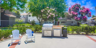 Las Ventanas Gallery 10