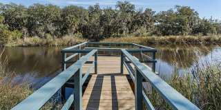 Tidewater at Atlantic Beach Gallery 115