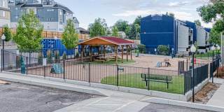 Edge 26 at Sloan's Lake Gallery 17