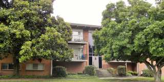 Riverside Park Gallery 49