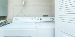 Vintage at Plantation Bay Gallery 75