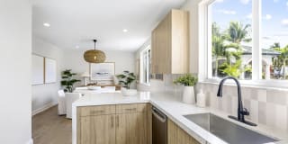 Palm Trace Landings Gallery 13