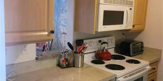 7405 Bay Island Dr S Apt 224 Gallery 17