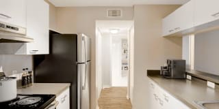 Coconut Palm Club Gallery 59