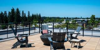 Rivenwood Gallery 18