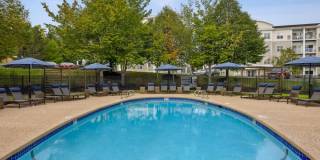 Sofi Danvers Gallery 50