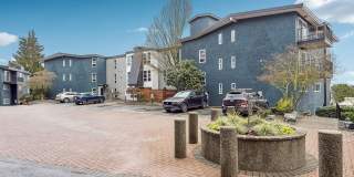 Arrive Magnolia Gallery 72