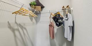 The Lotus at Starkey Ranch Gallery 19