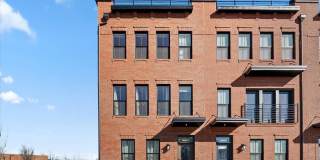 42203 JOUSTING Terrace Gallery 1