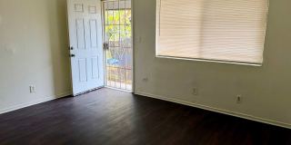 489 S Backer Gallery 4