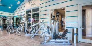 Edgewater at City Center Gallery 47