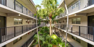 Plantation Gardens Gallery 54