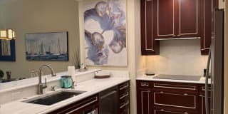 Short term ONLY luxury 2/2 condo in the heart of downtown Sarasota Gallery 6