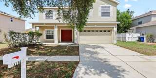 7712 DRAGON FLY LOOP Gallery 1