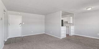 Swift at Riverdale Park Gallery 63