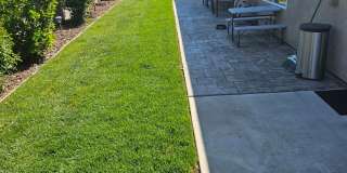 MUST SEE 4 Bedroom 2 bath Gallery 26