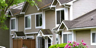 Walkabout Creek Gallery 20