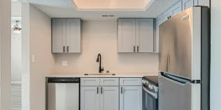 Rise Spring Pointe Gallery 13